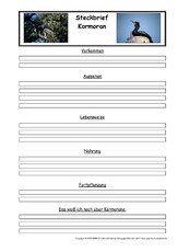 Kormoran-Steckbriefvorlage.pdf